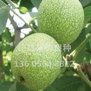 清香蜜梨