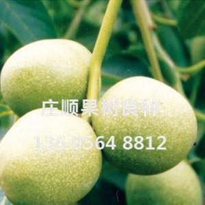 香玲